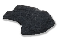 M 01808
<br/>
<br/>
<em></em>